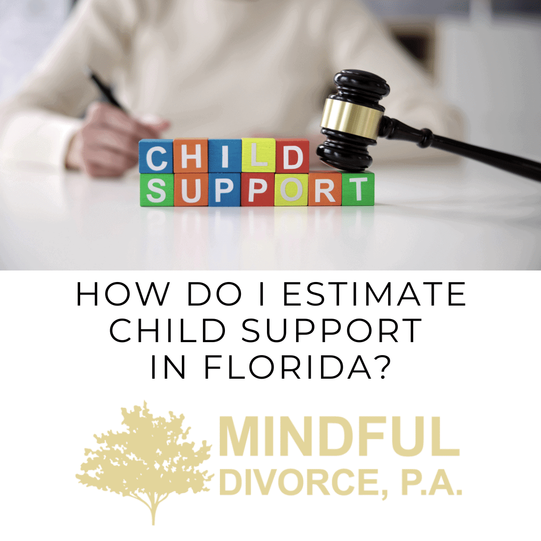 a child support and divorce attorney