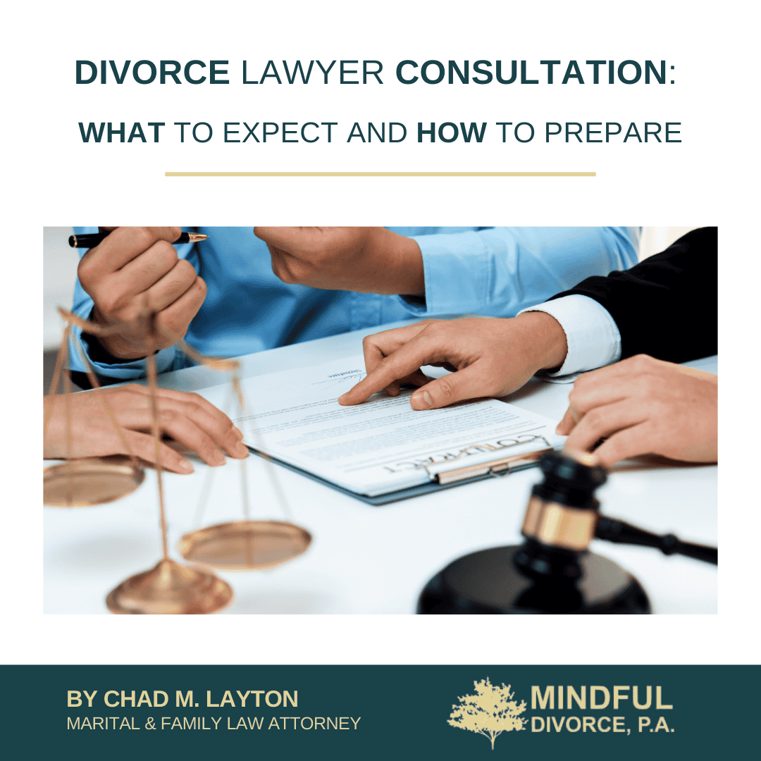 Divorce Lawyer Consultation: What to Expect and How to Prepare