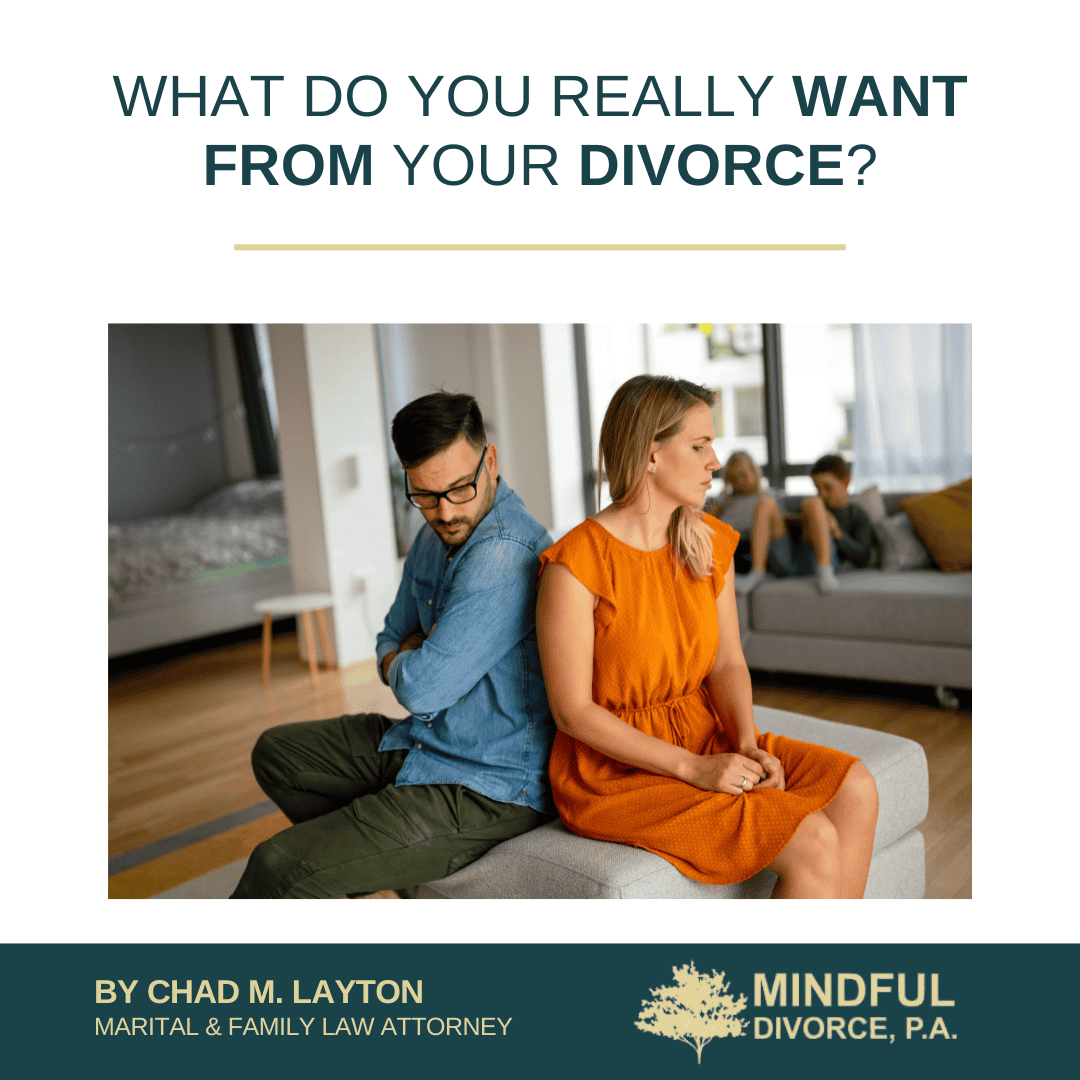 What Do You Really Want from Your Divorce?