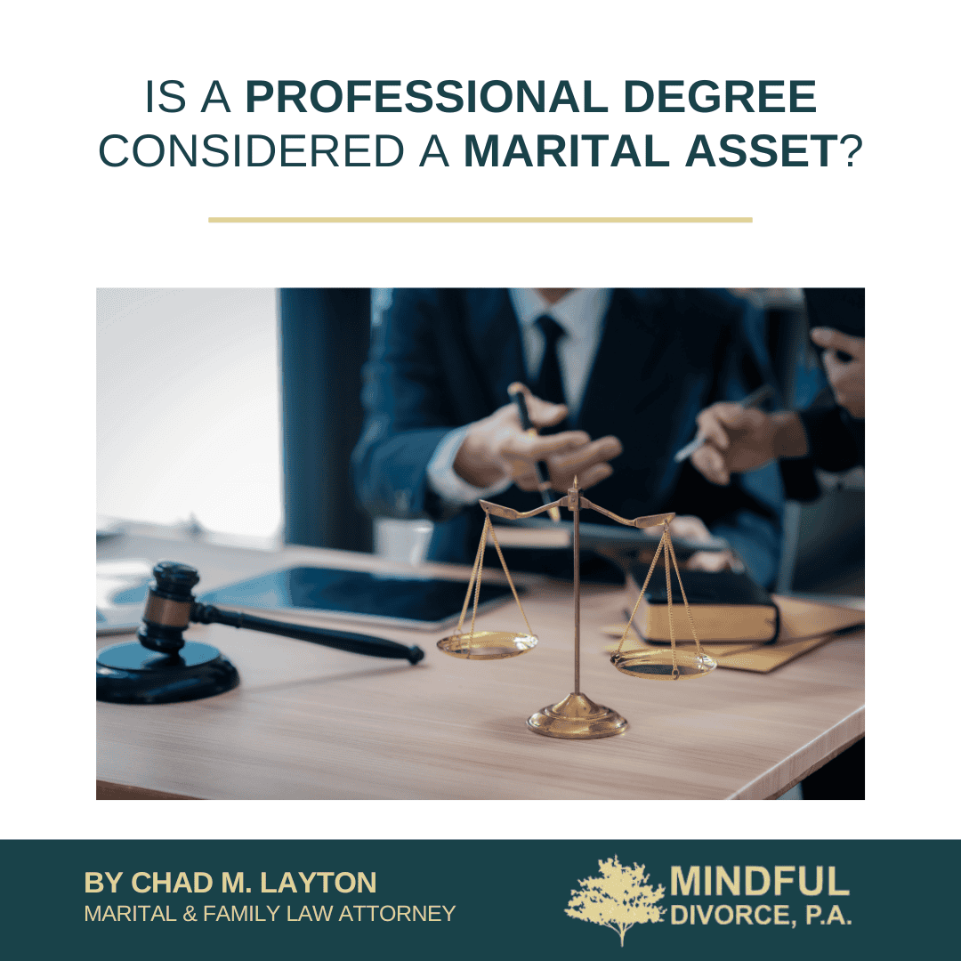 Is a Professional Degree Considered a Marital Asset?