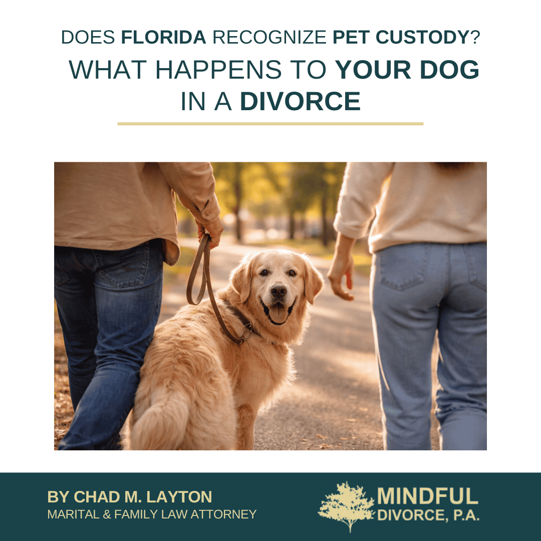 Does Florida Recognize Pet Custody? What Happens to Your Dog in a Divorce