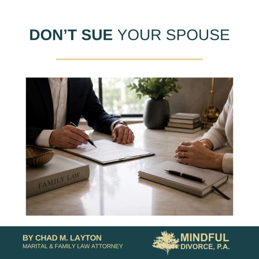 Don't Sue Your Spouse - Blog