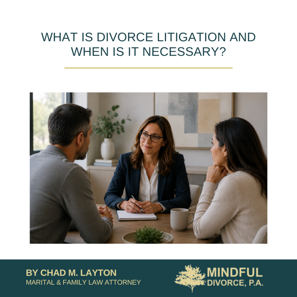 what is divorce litigation